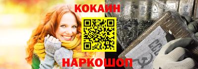гашик Кингисепп