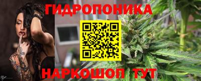 дурь Камышлов