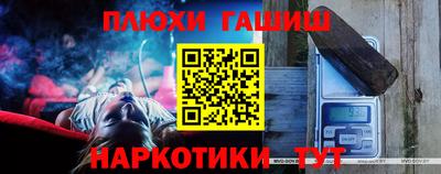 гашик Кингисепп