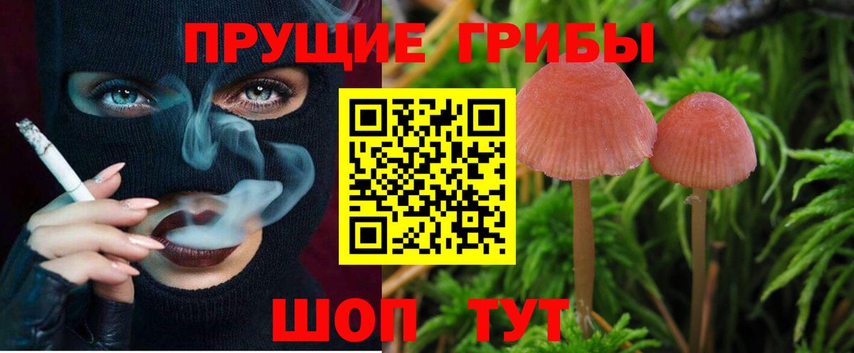Кубинка  Псилоцибиновые грибы GOLDEN TEACHER  Вход с VPN  Псилоцибиновые грибы мухоморы 